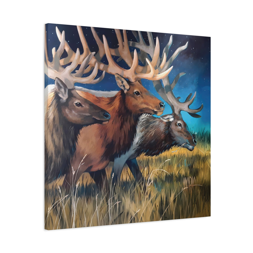 Starry Elk