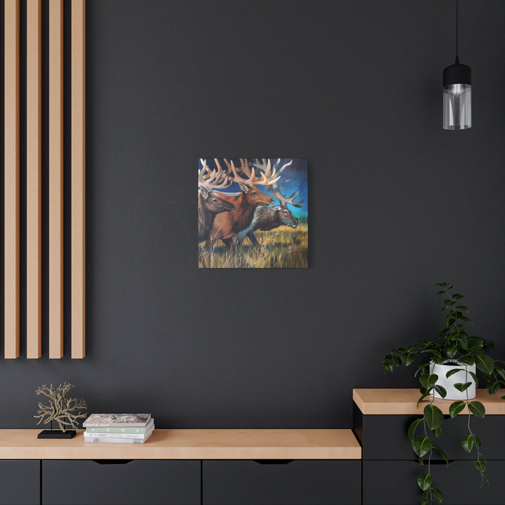 Starry Elk