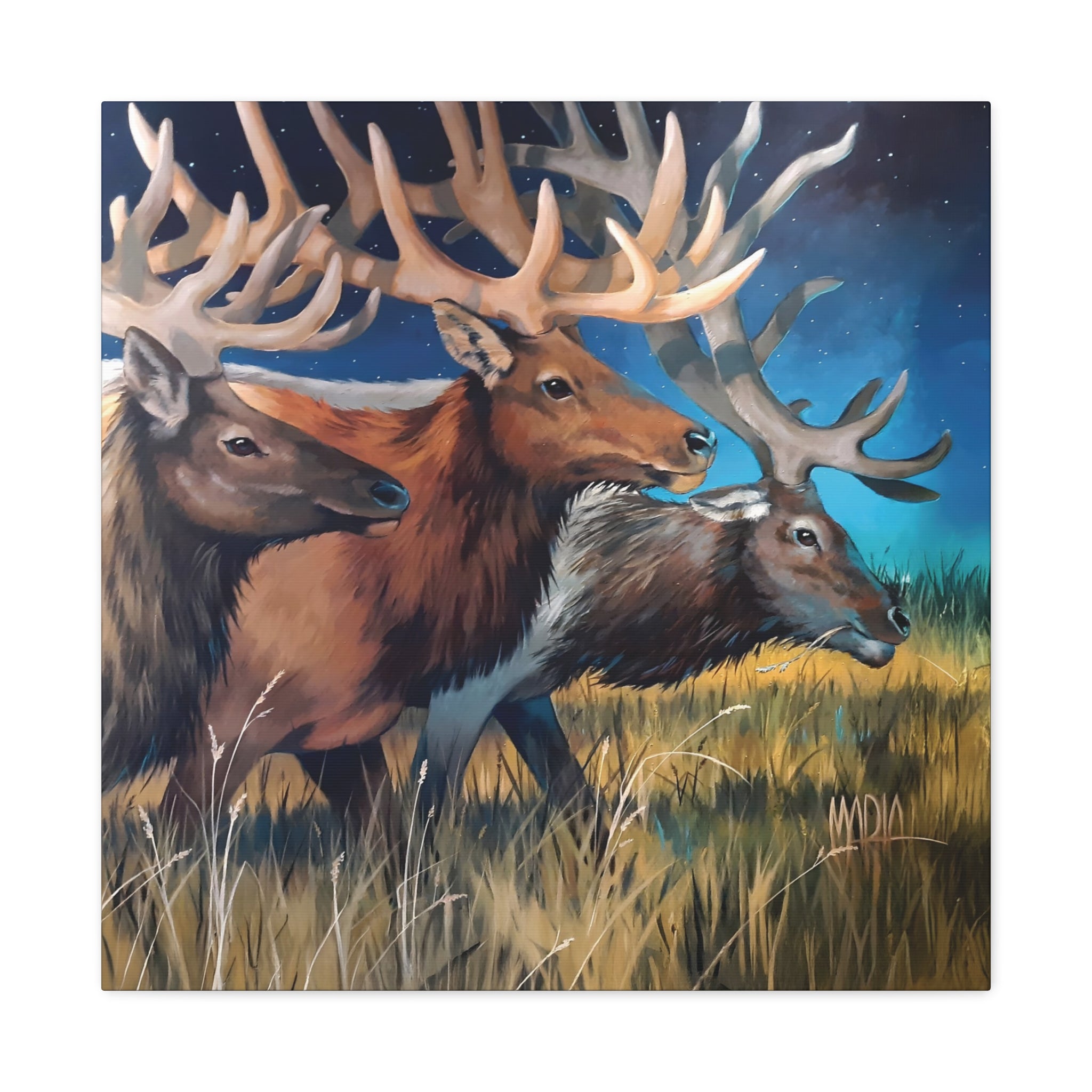 Starry Elk