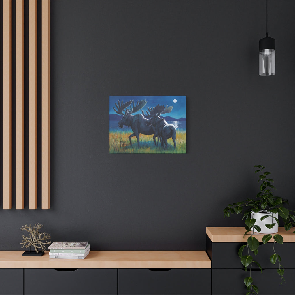 Moonlit Moose