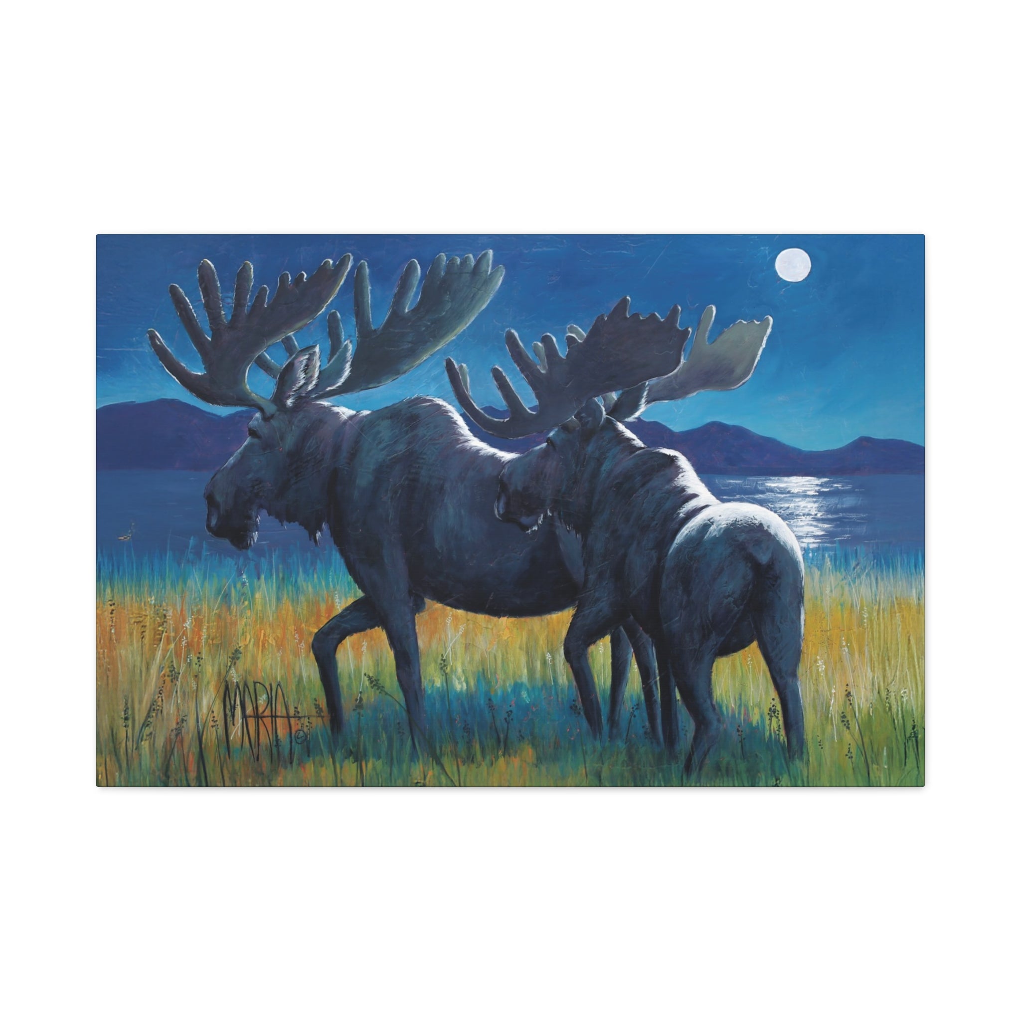 Moonlit Moose