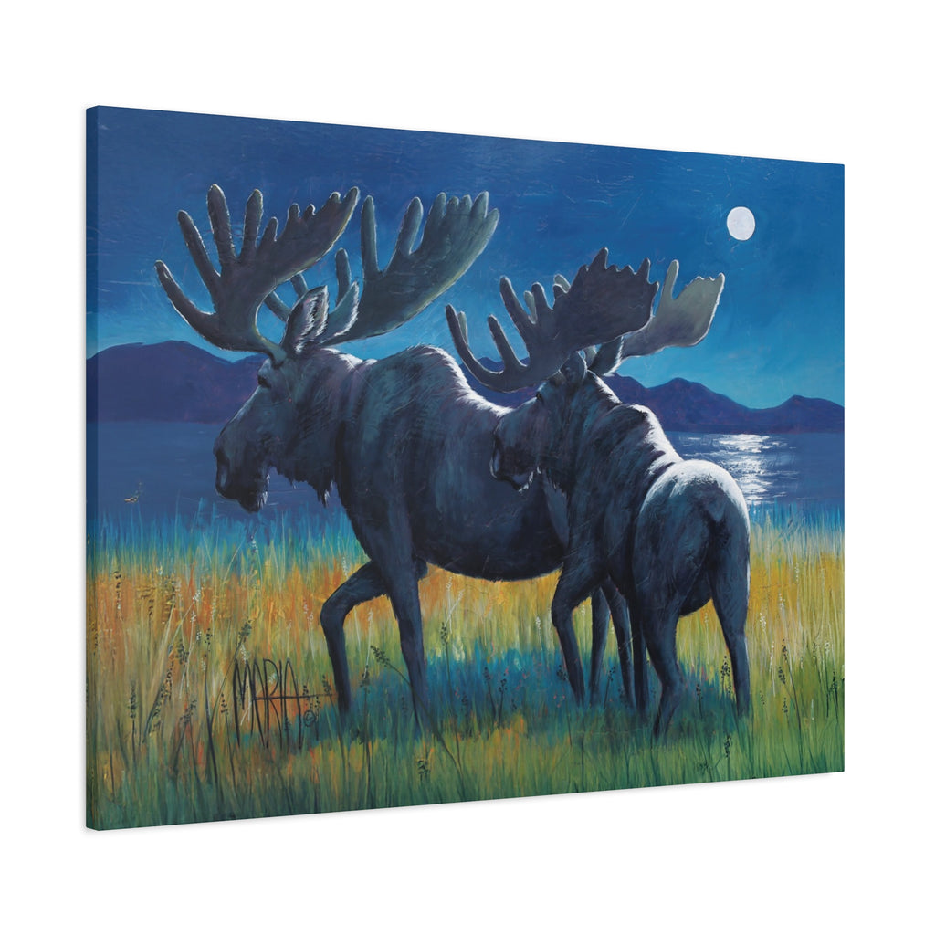 Moonlit Moose