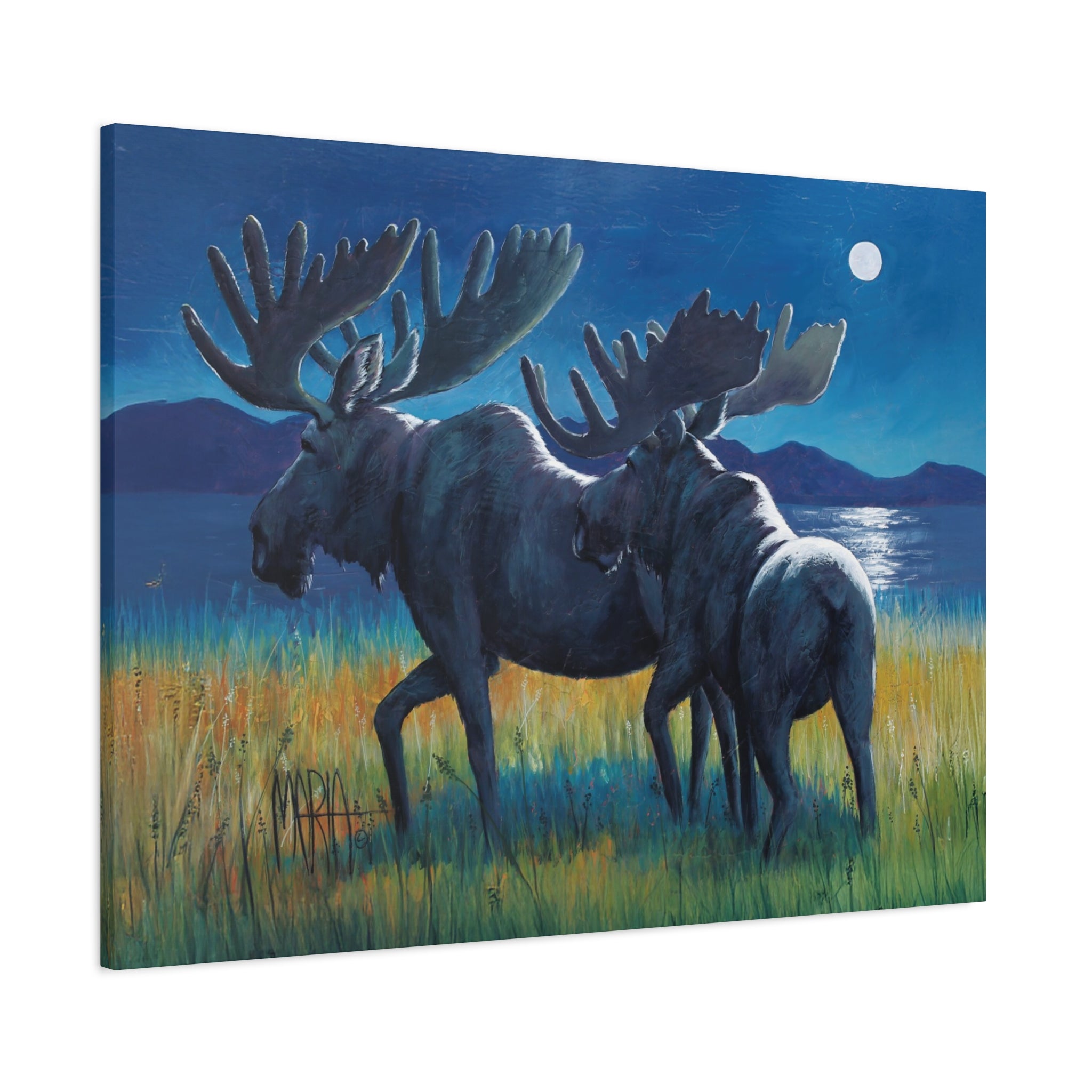 Moonlit Moose