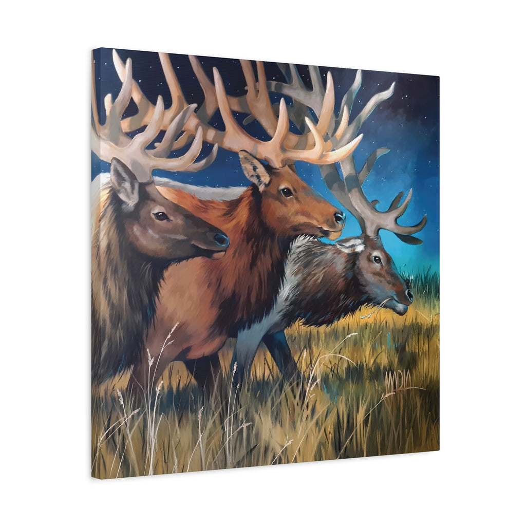 Starry Elk