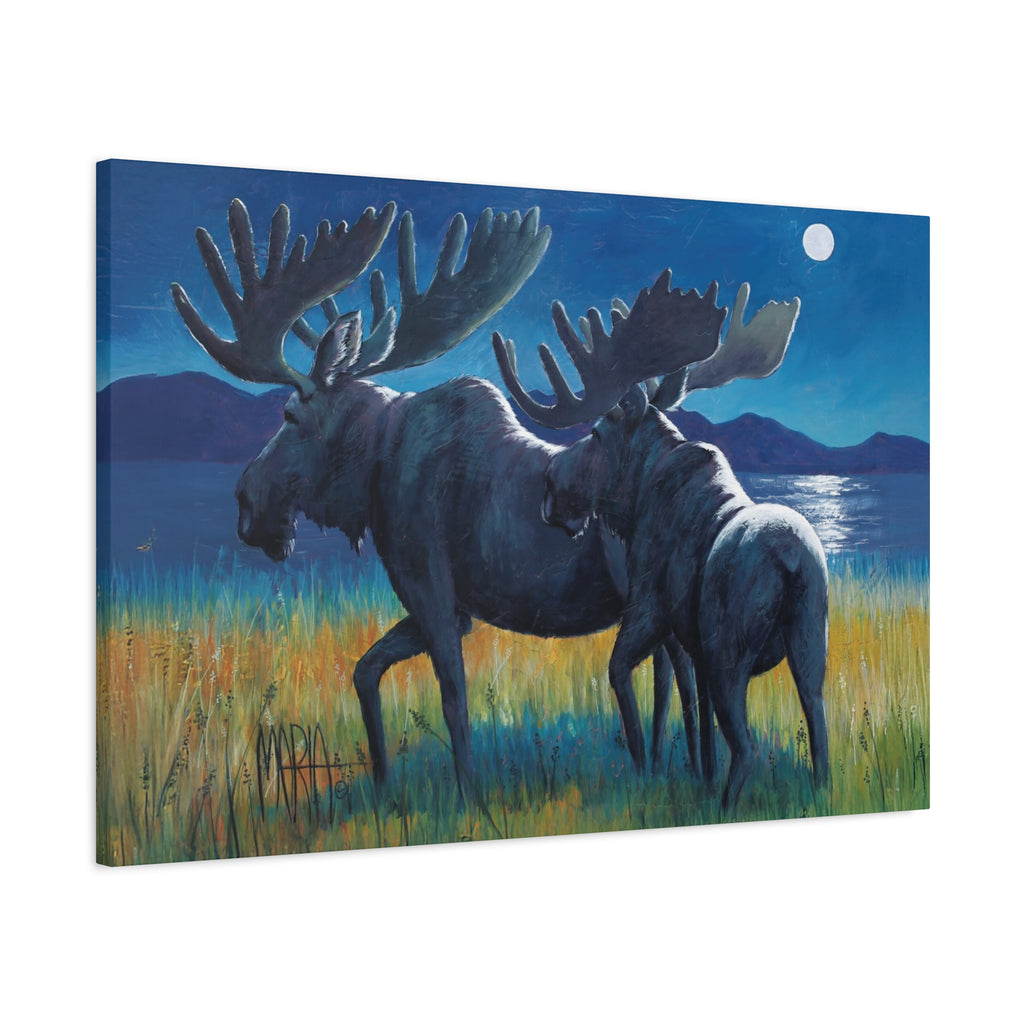 Moonlit Moose