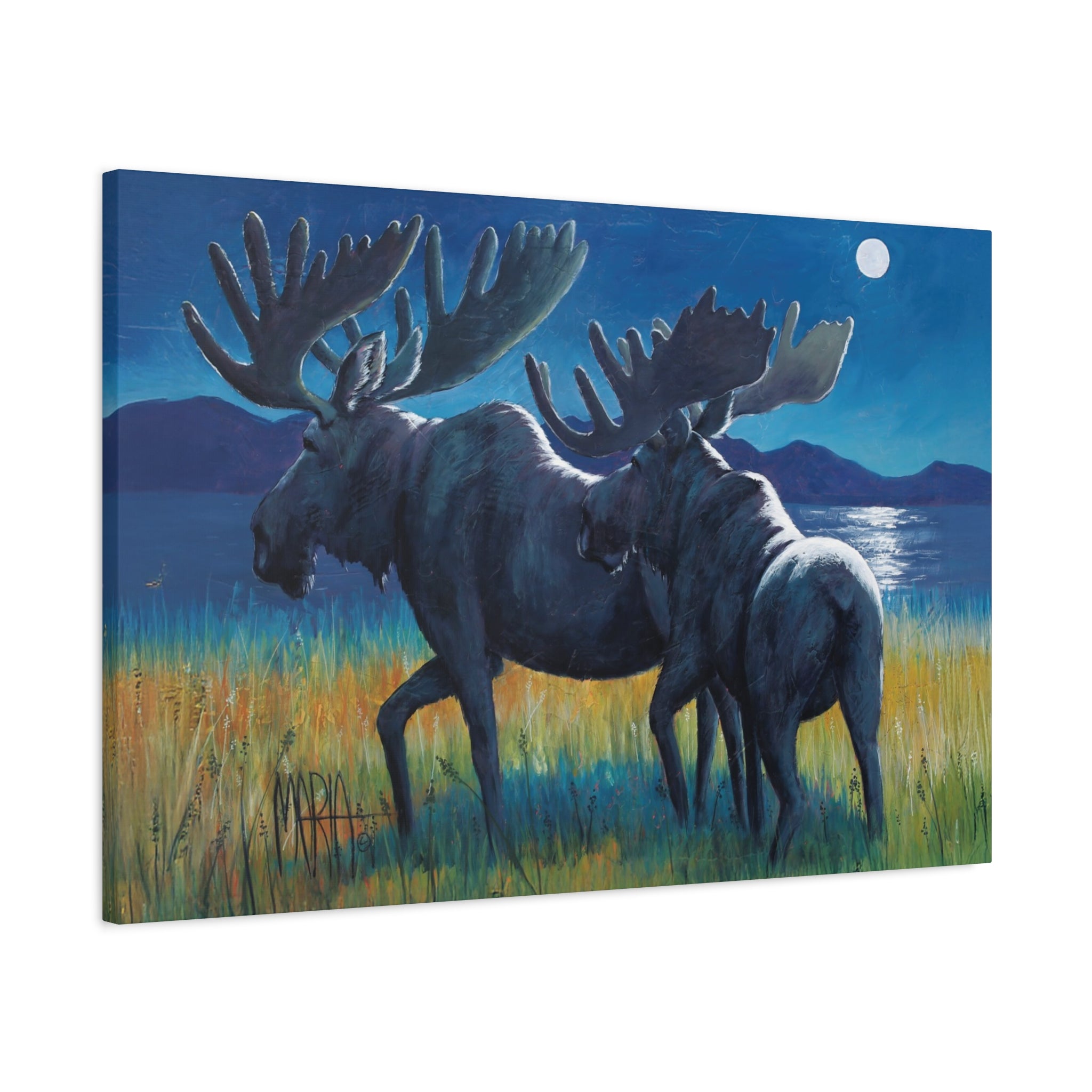 Moonlit Moose
