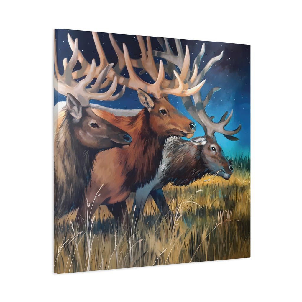 Starry Elk