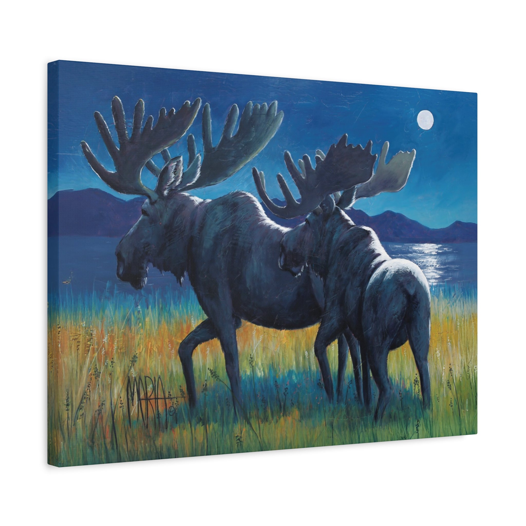 Moonlit Moose