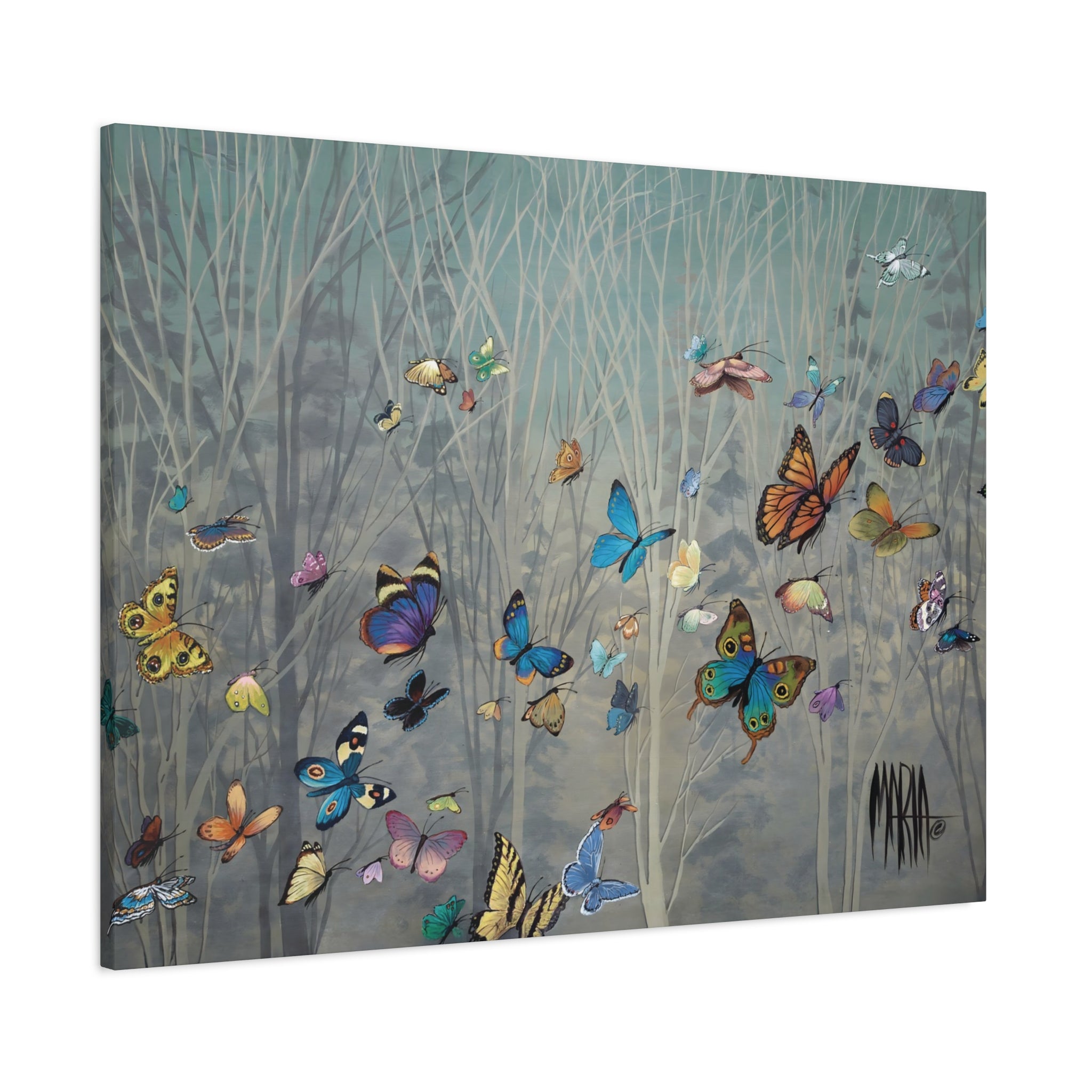 Sharon's Butterflies