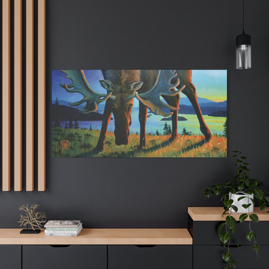 Moose Twilight