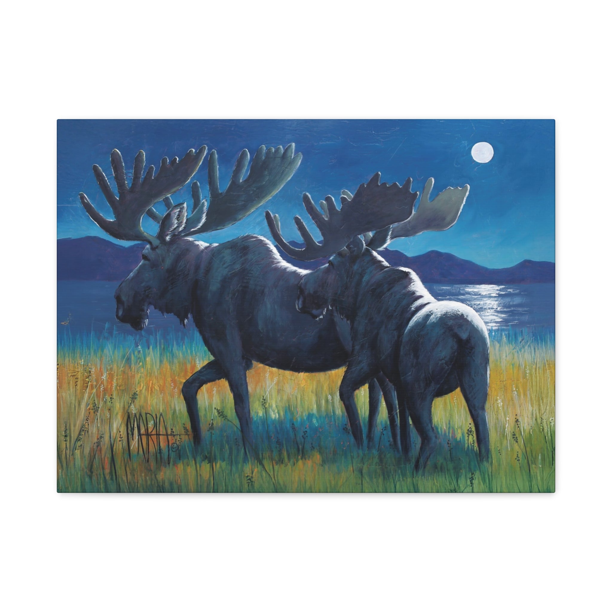 Moonlit Moose