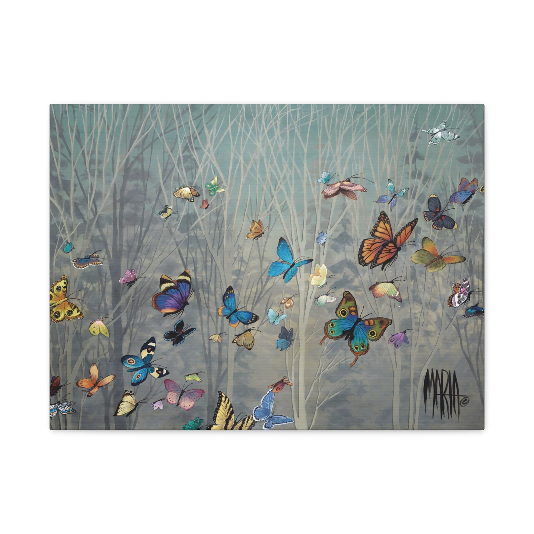 Sharon's Butterflies