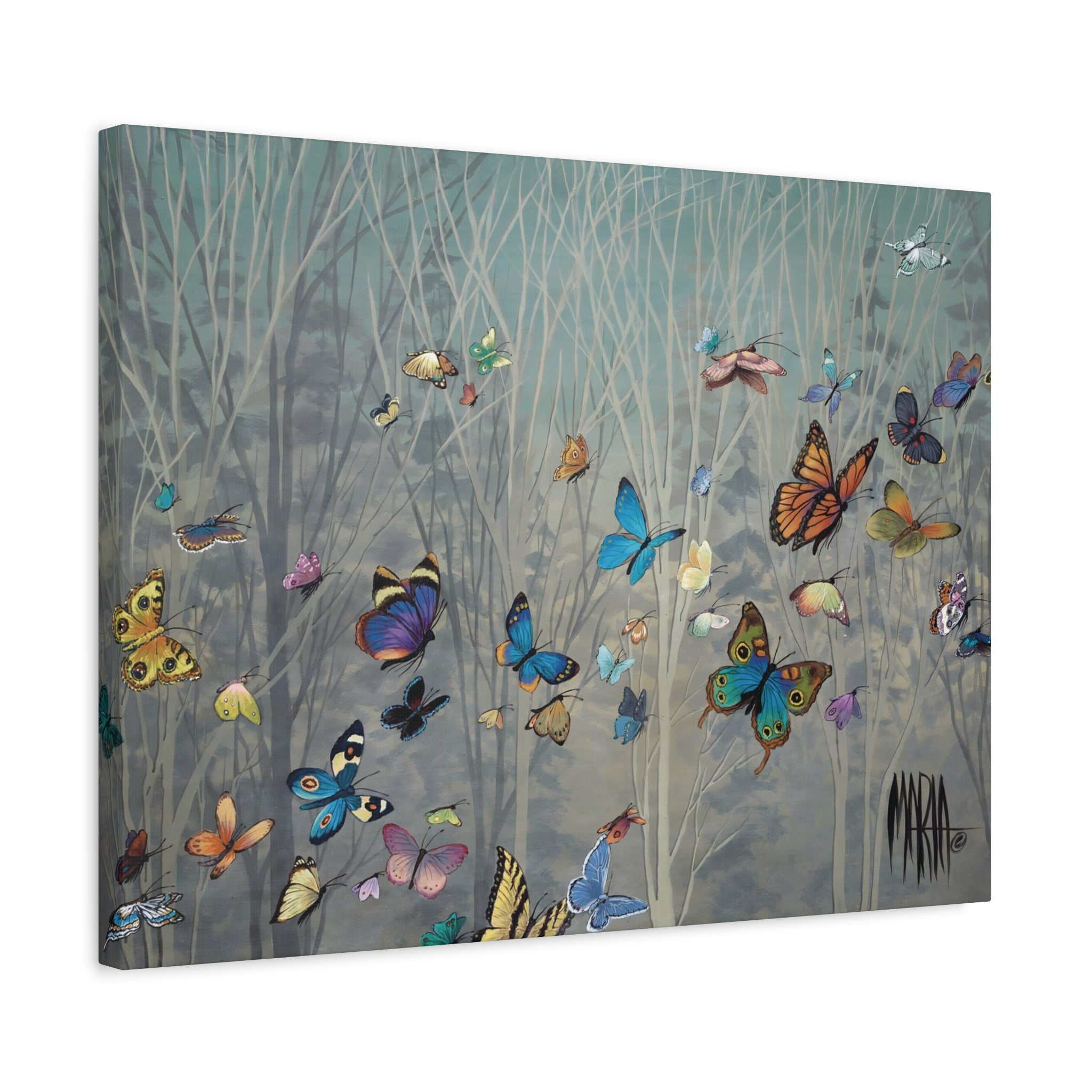 Sharon's Butterflies