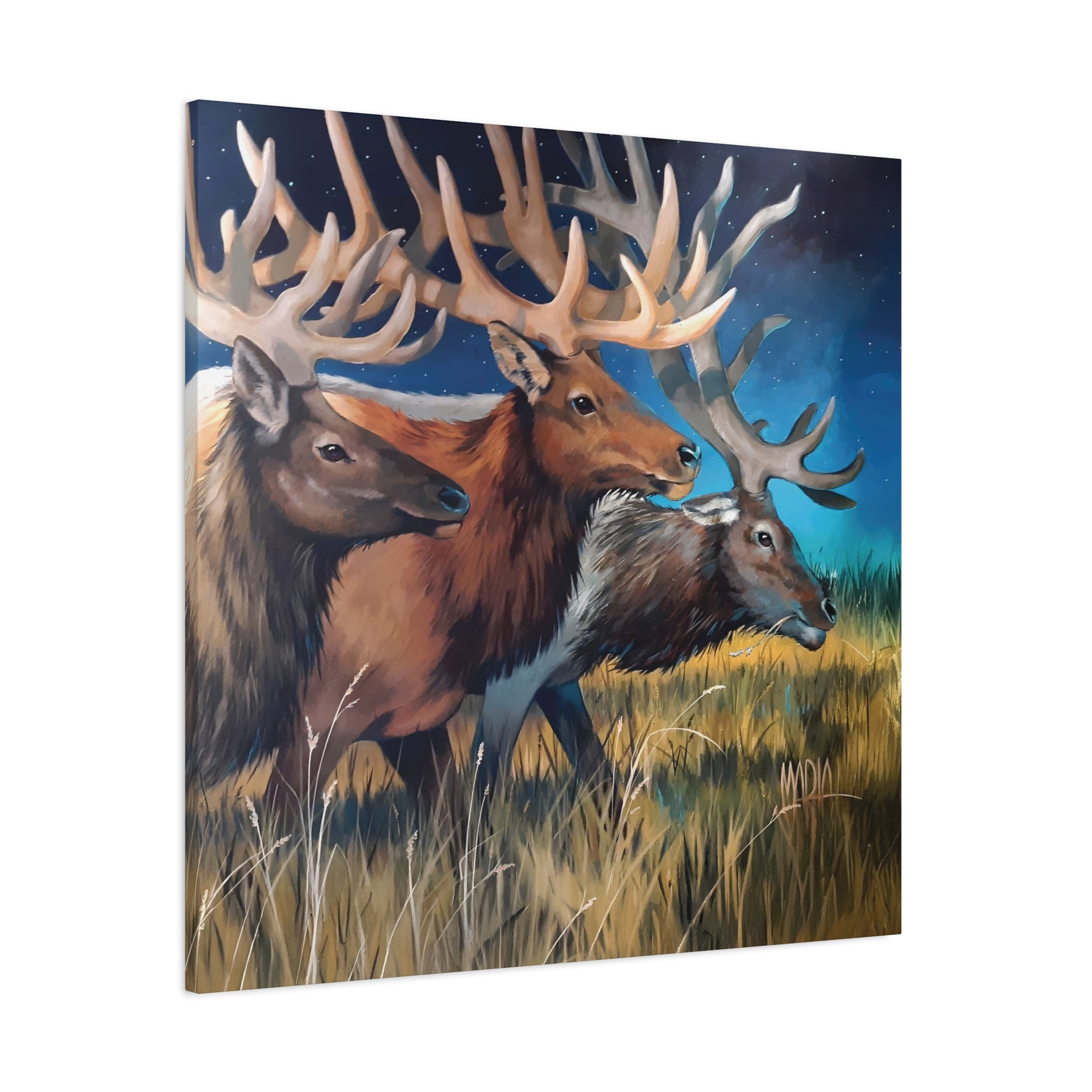 Starry Elk
