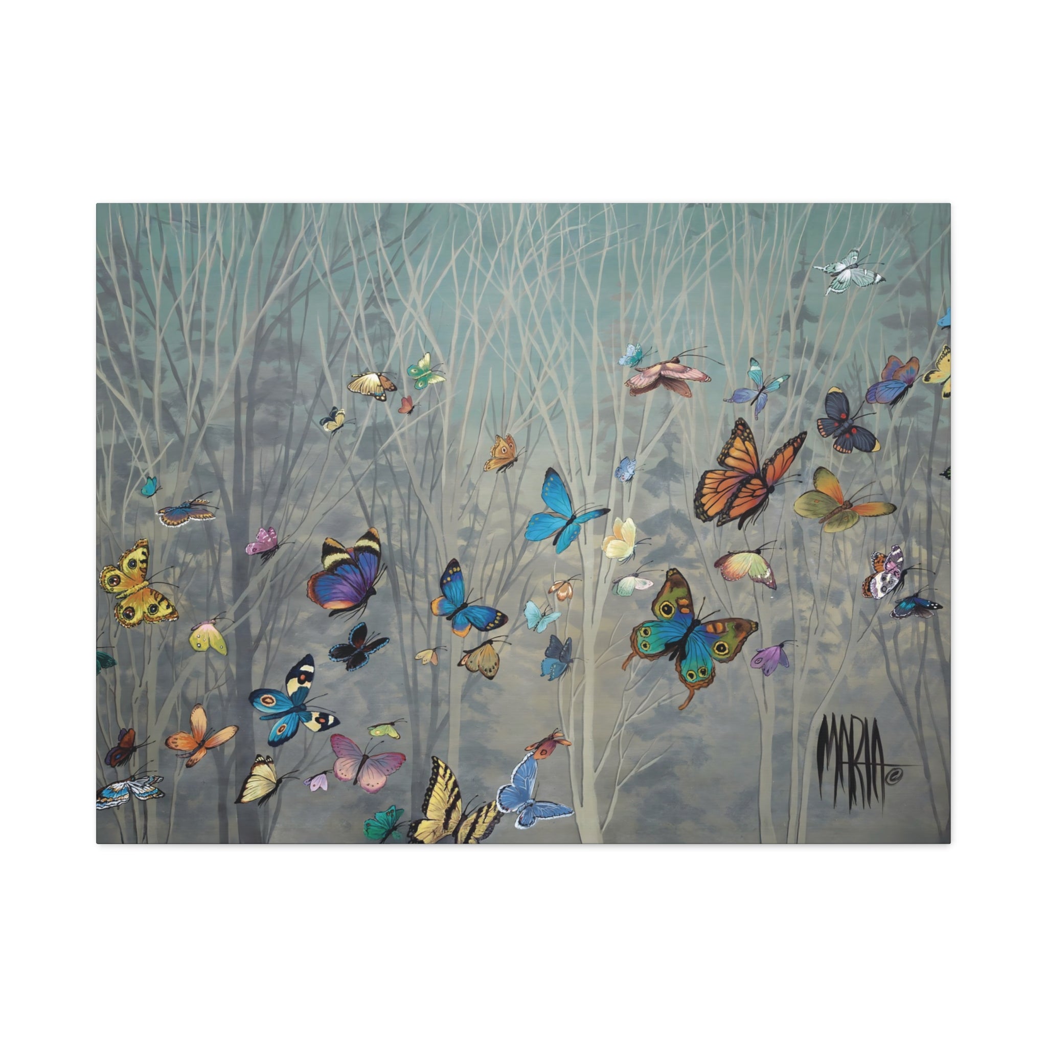 Sharon's Butterflies