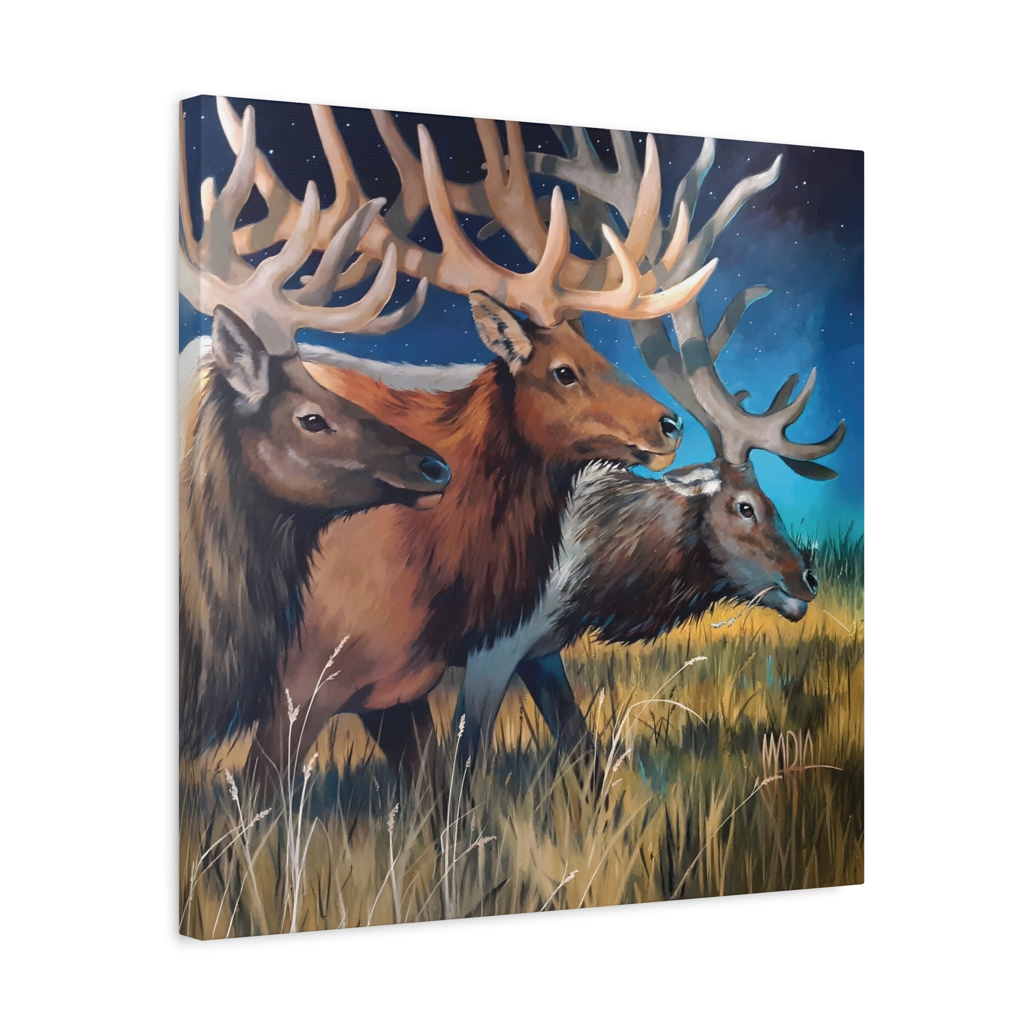 Starry Elk