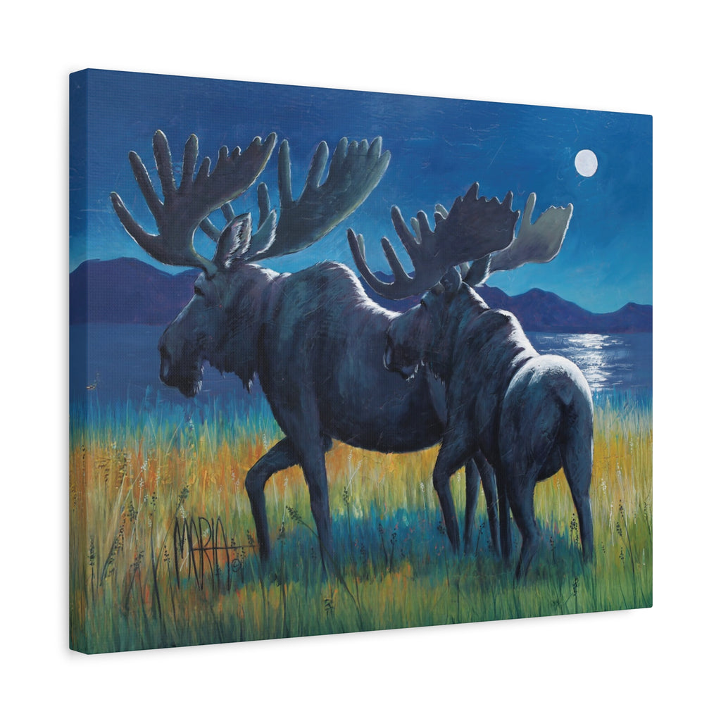Moonlit Moose