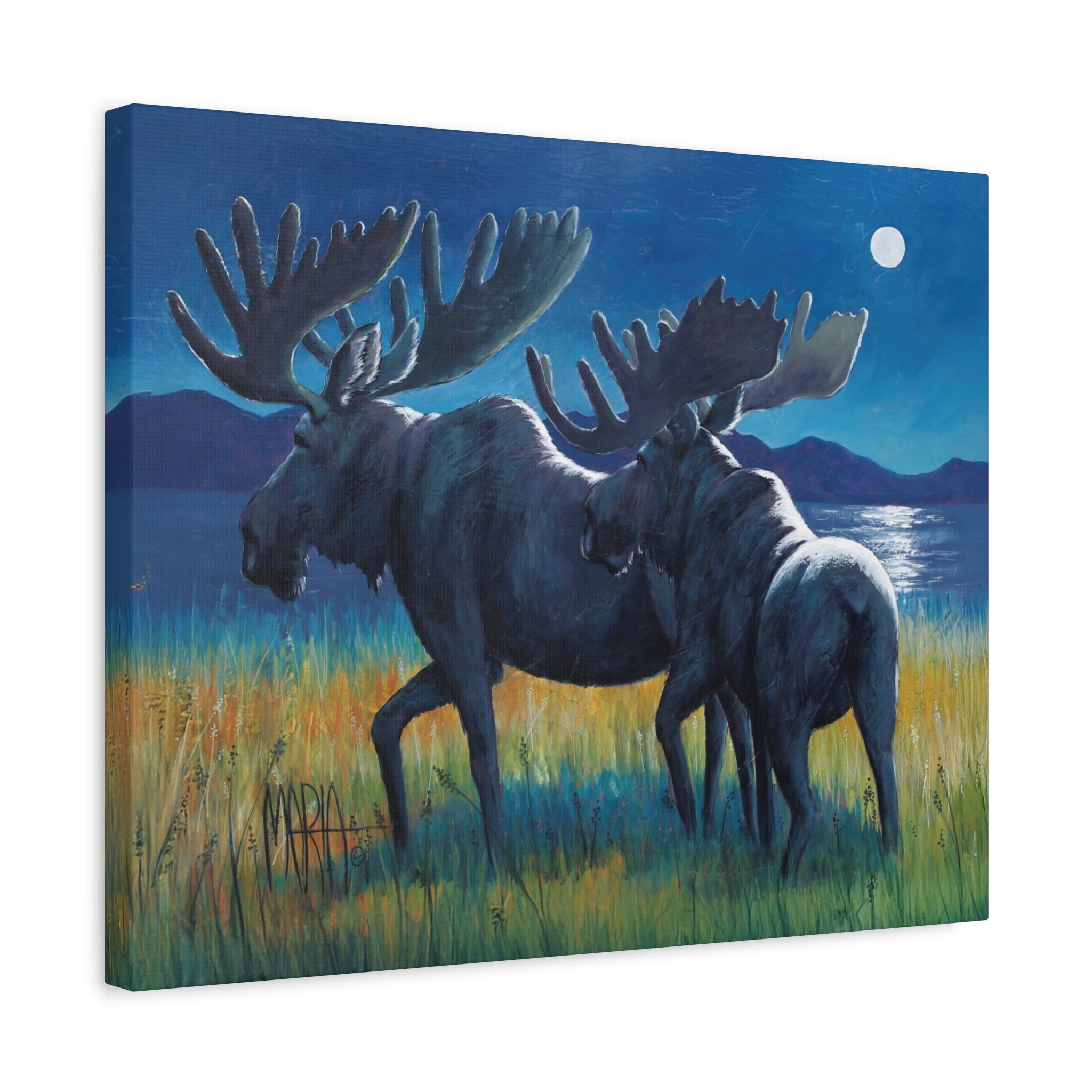 Moonlit Moose