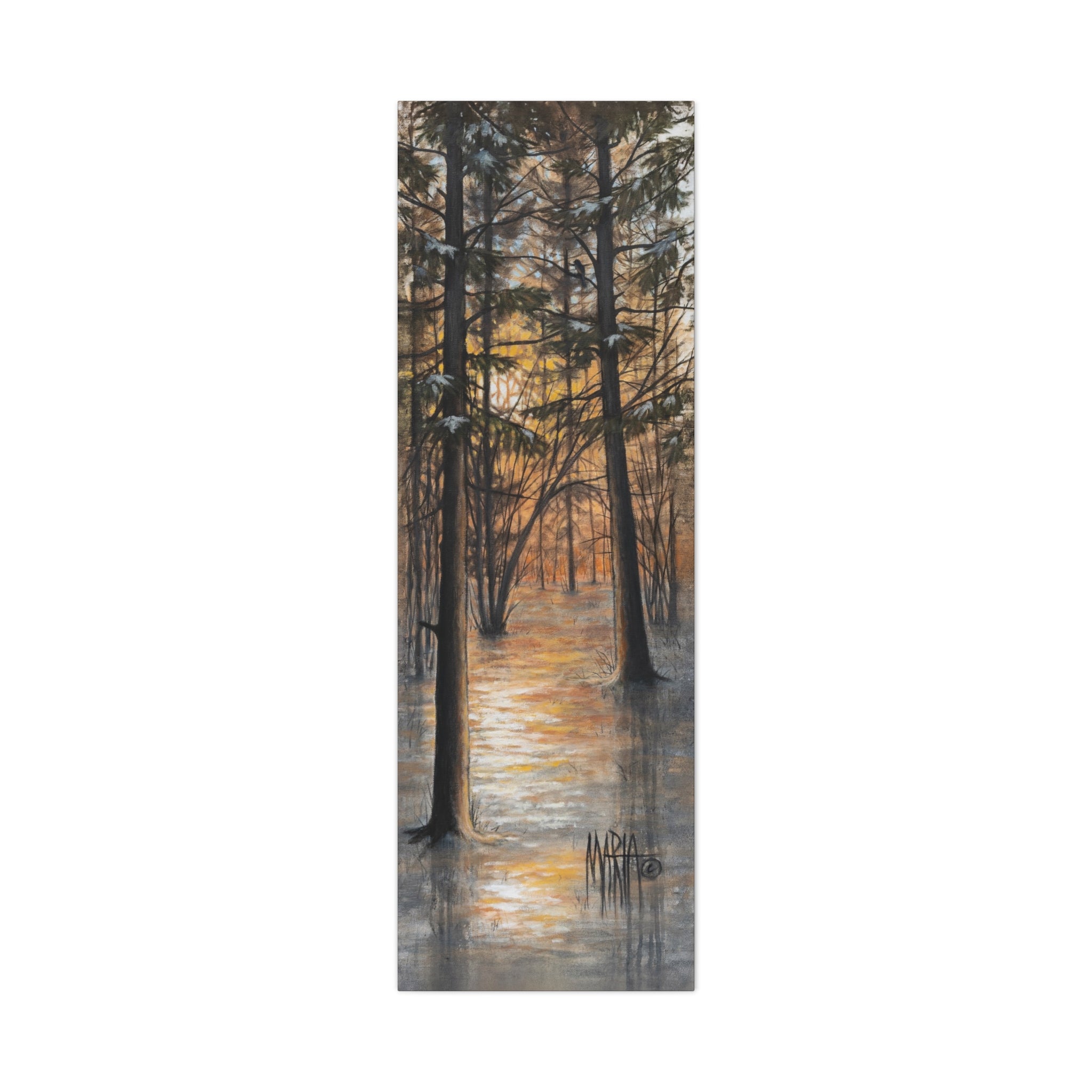 Winter's Last Light