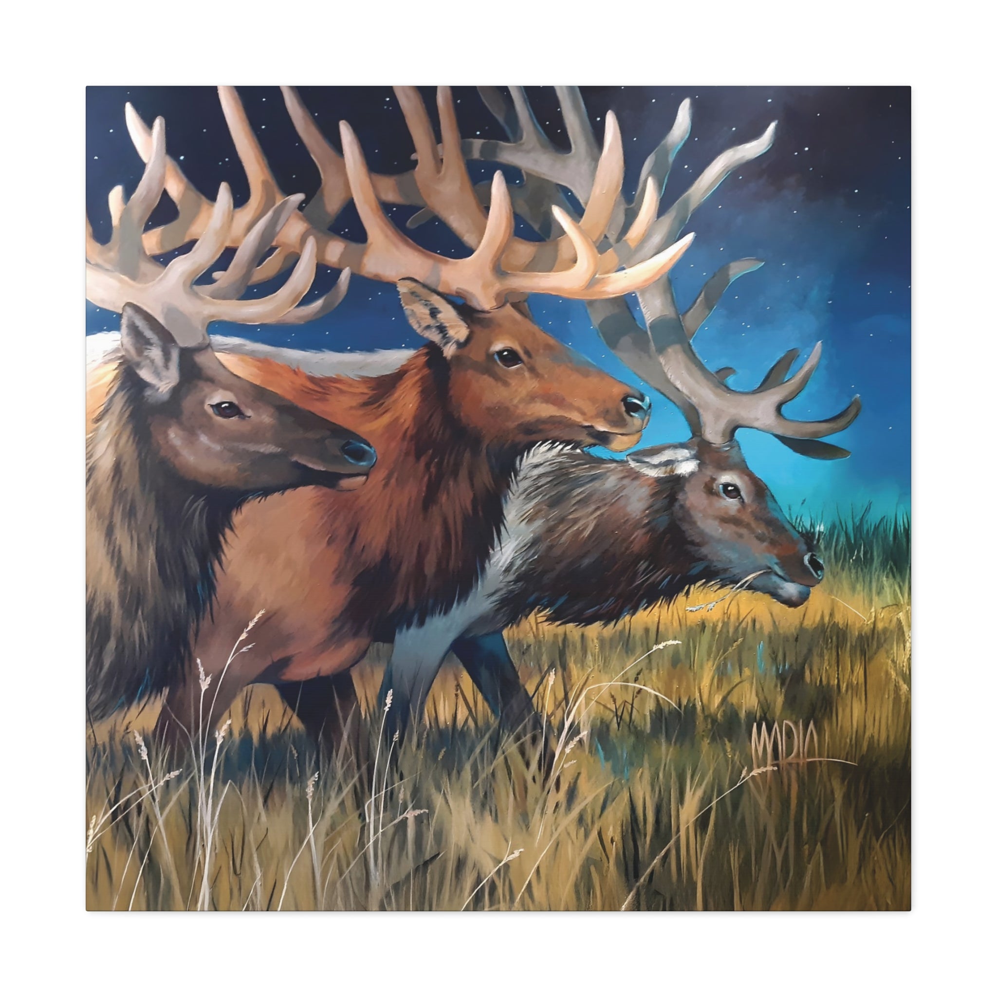 Starry Elk