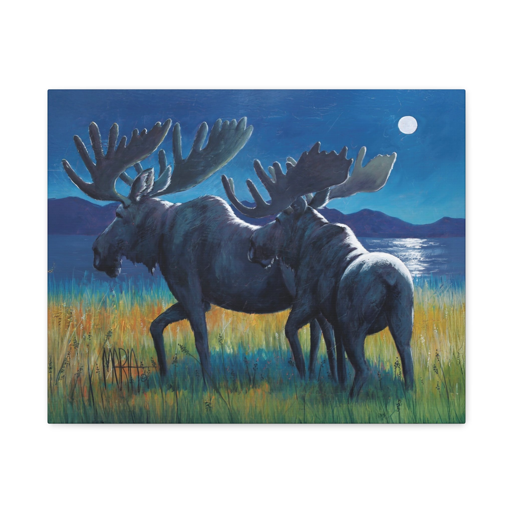 Moonlit Moose