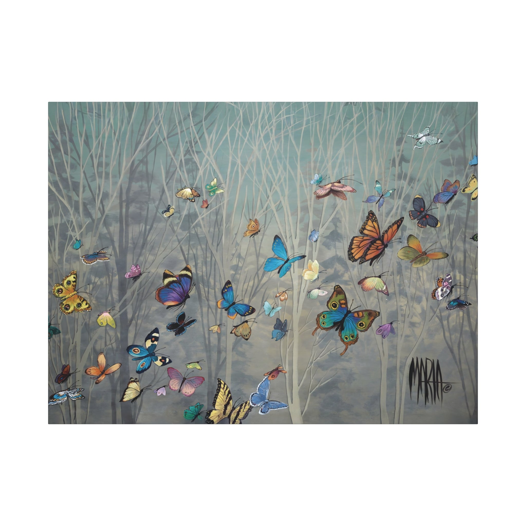 Sharon's Butterflies