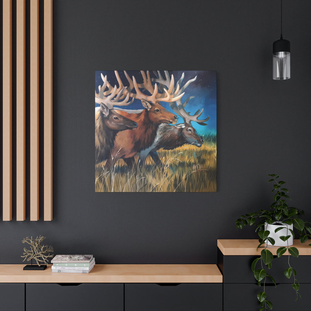 Starry Elk