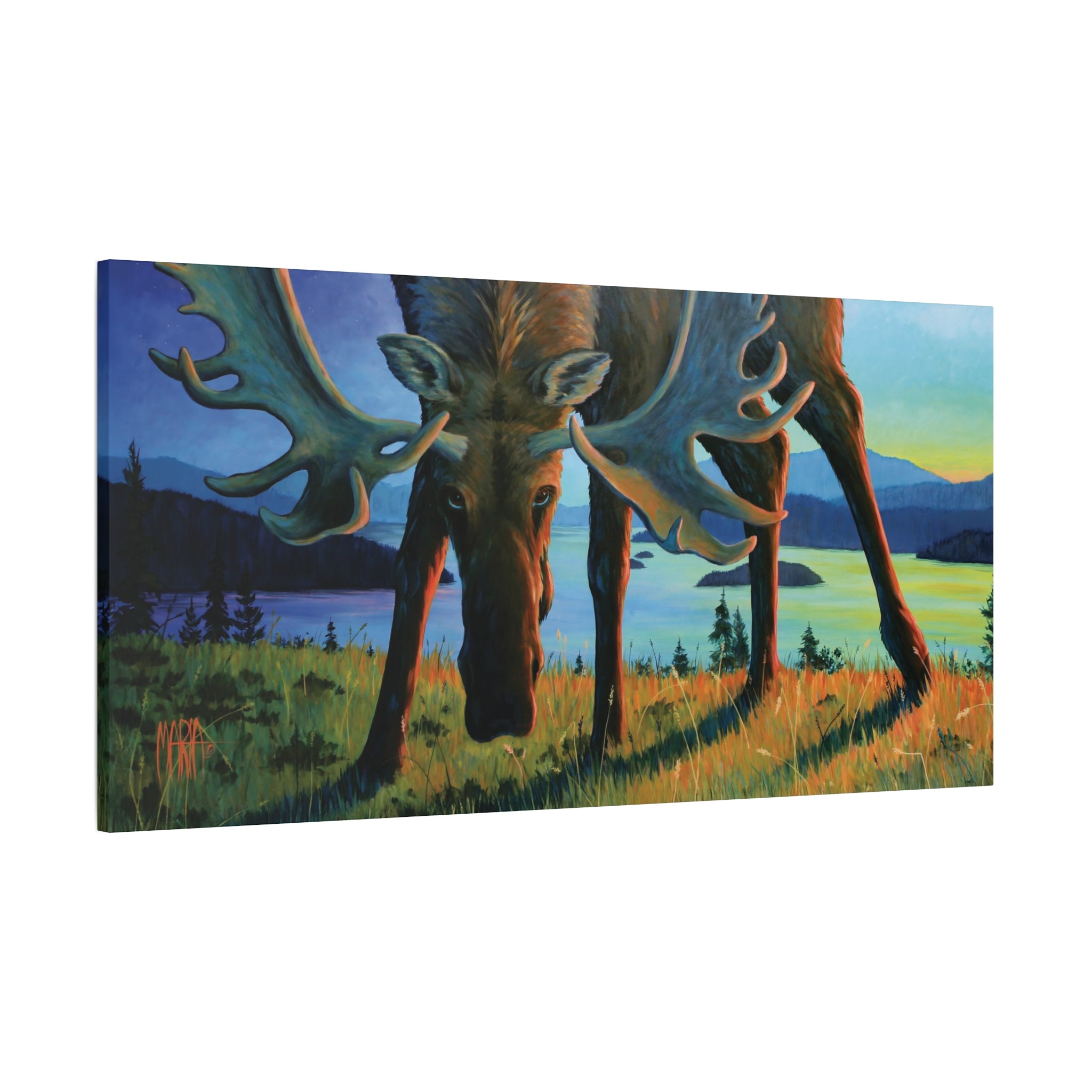 Moose Twilight