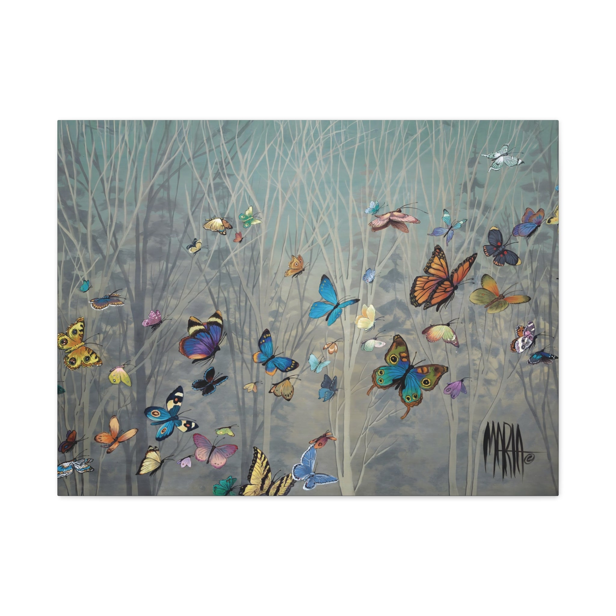 Sharon's Butterflies