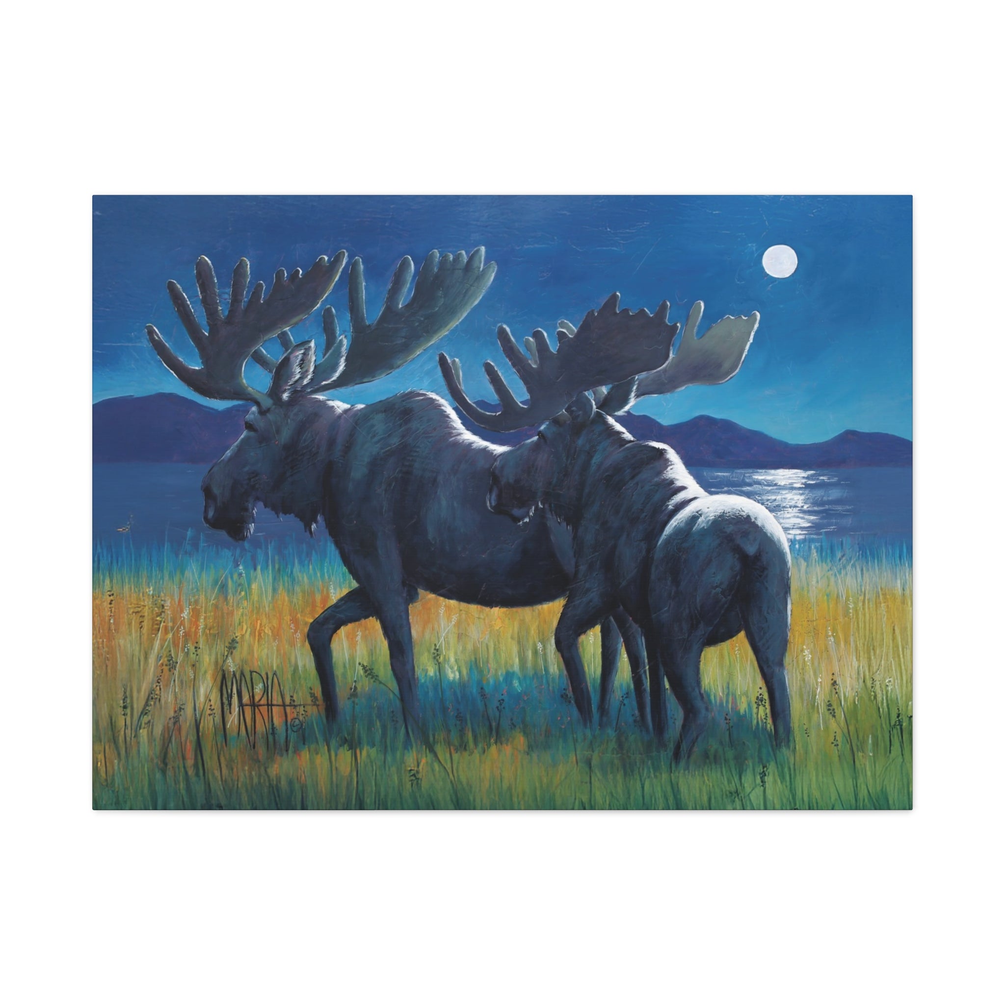 Moonlit Moose