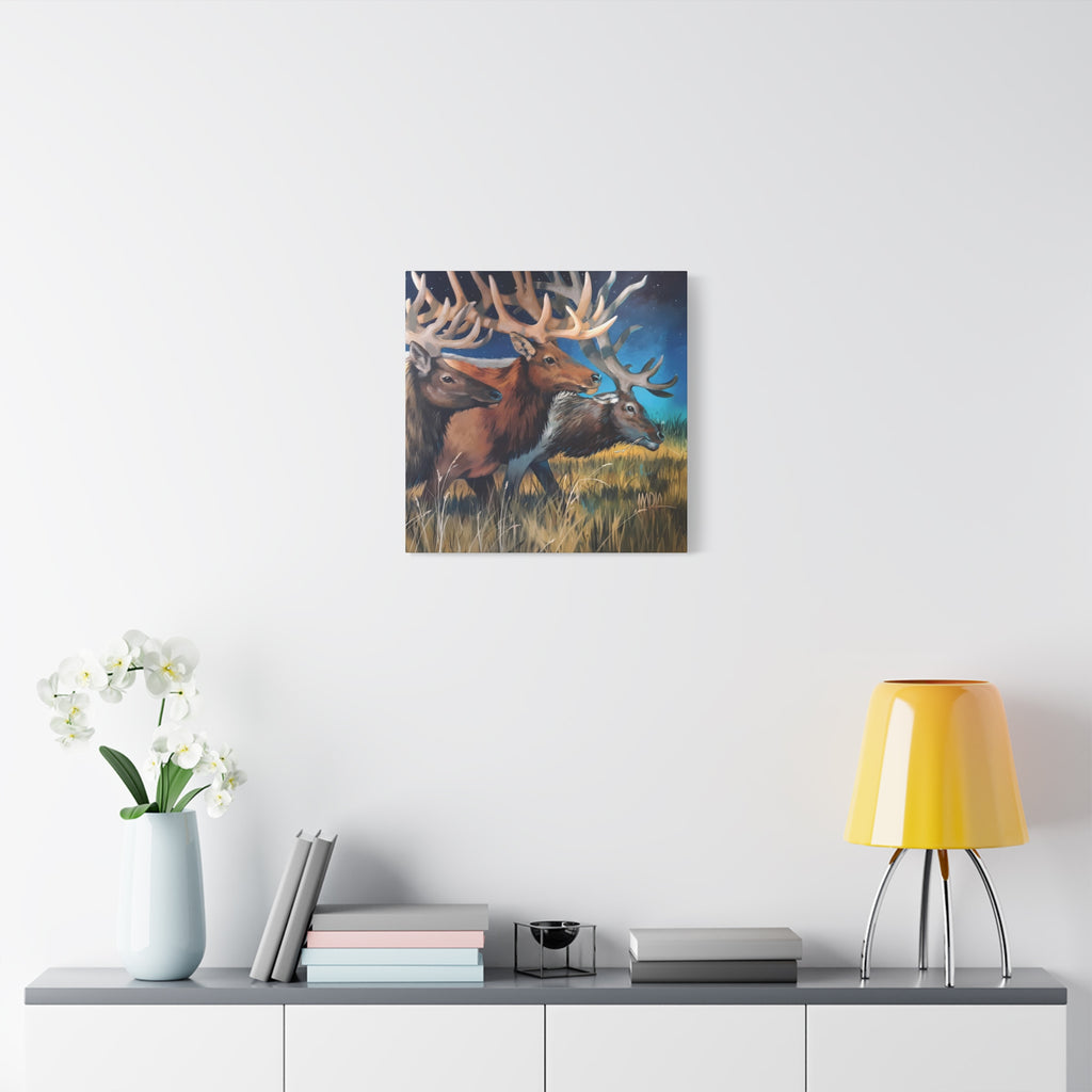 Starry Elk