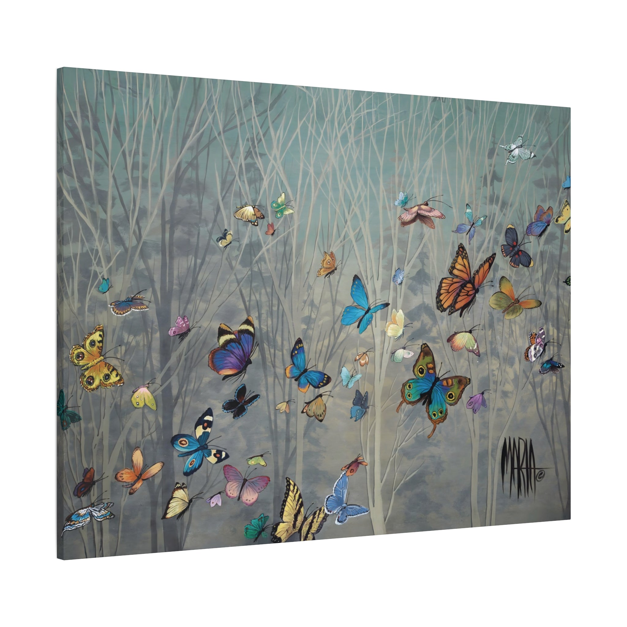 Sharon's Butterflies