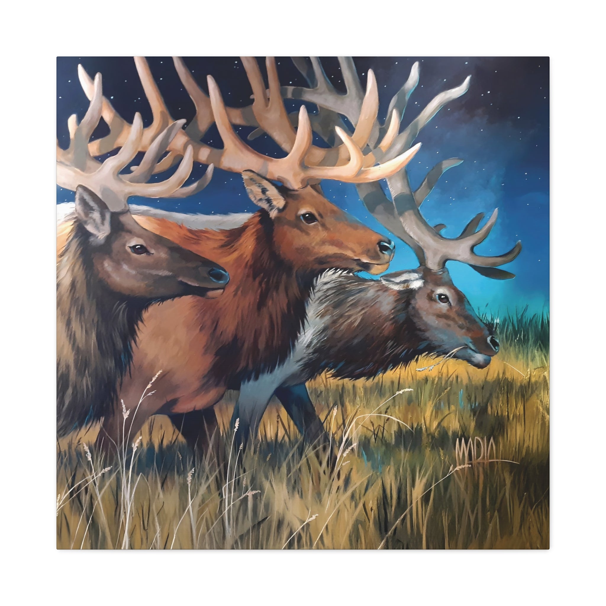Starry Elk