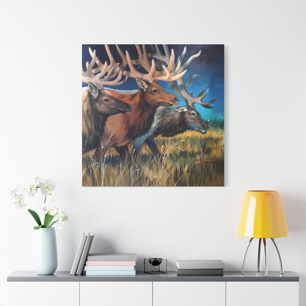 Starry Elk