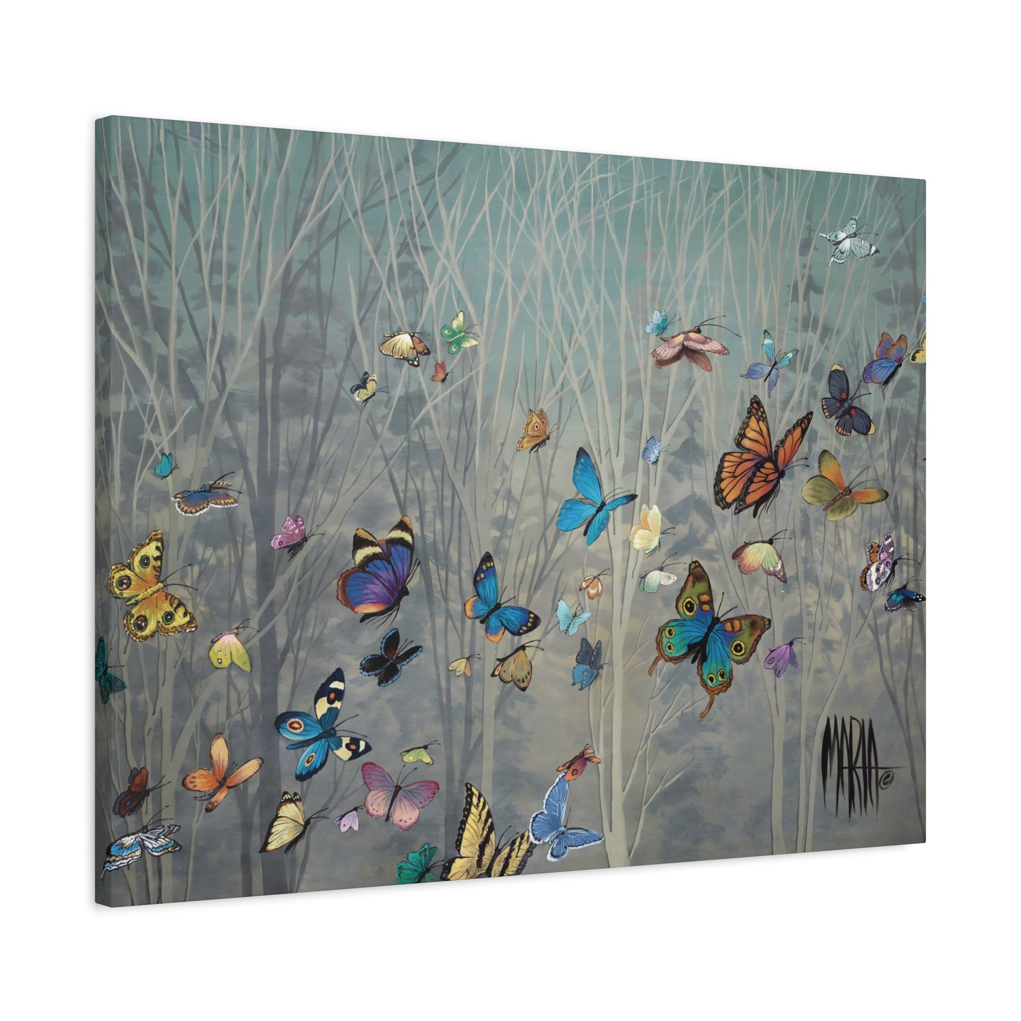 Sharon's Butterflies
